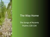 The Way Home